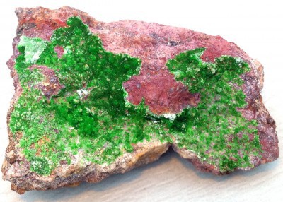 Conchalcite Utah USA € 12,50