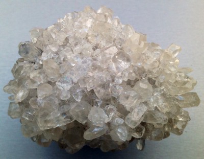  Calciet roos  +/- 12cm € 22,50