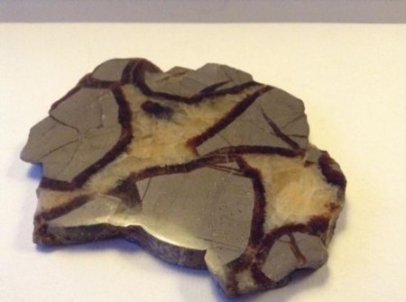  Plak septarie 12 x 10 cm € 39,00