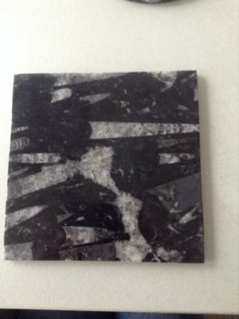  Vierkante plaat gemaakt van orthoceras 20 x 20 cm Marokko € 29,50