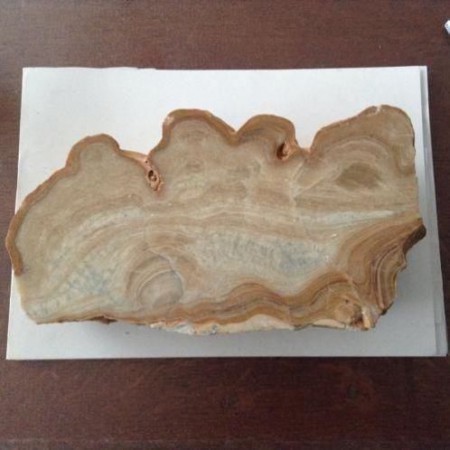  Prachtig stuk 3 kilo versteend hout € 75,00