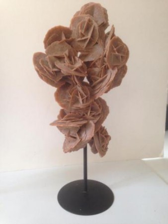 Woestijnroos op voet, prachtig decoratiestuk 30 cm € 65,00