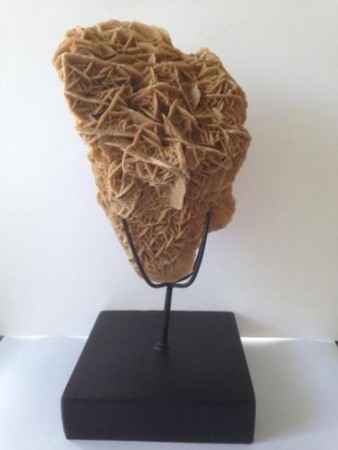 Woestijnroos op metalen voet hoogte 32 cm € 49,90